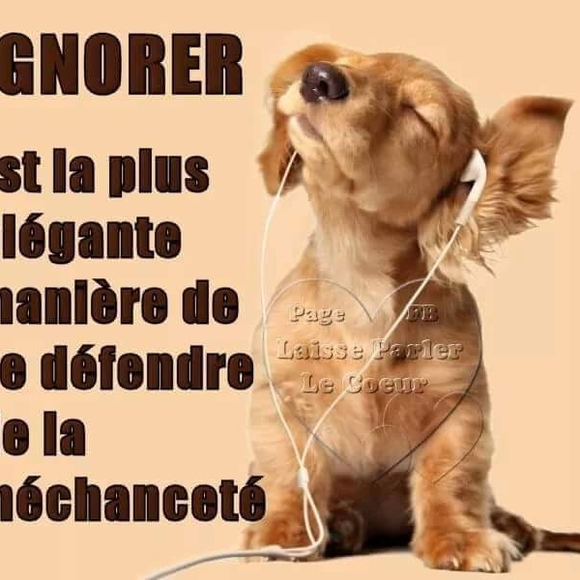 Meet your Posher, Juno - Picture 1 of 1